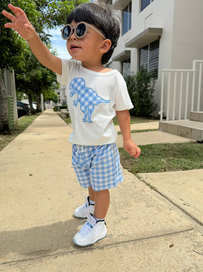 Boys Set Dino